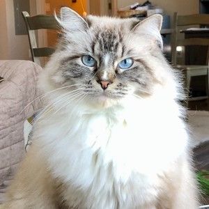 Meet your Posher, Caitlin